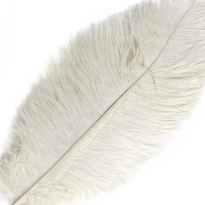 White feather with soft, fluffy texture on a plain background.