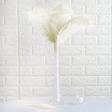 12 Pack Ivory Natural Plume Real Ostrich Feathers