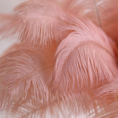 Pink decorative feathers in soft, delicate layers.