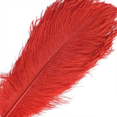 Red feather with soft, vibrant texture on a white background.