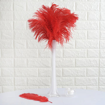 12 Pack Red Natural Plume Real Ostrich Feathers