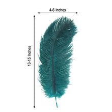 Peacock Teal Ostrich Feathers Natural Plume 13-15 Inch 12 Pack For DIY Decor