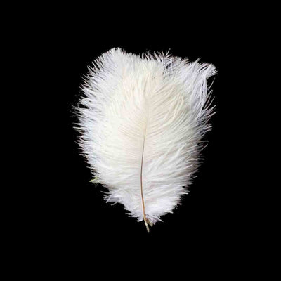White feather on a black background.