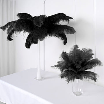 Unleash Your Creativity with Black Natural Plume Ostrich Feathers