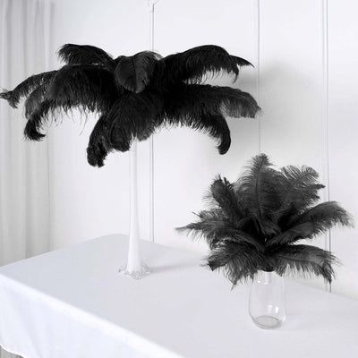Black feather palm trees in vases, studio-style isolation shot.