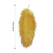 24 Inch To 26 Inch Sized 12 Pack Gold Colored Natural Plume Ostrich Feathers Centerpiece Filler