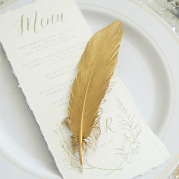 Versatile and Stunning Feather Decorations