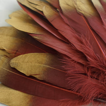 Create Unforgettable Moments with Gold Dipped Burgundy Real Goose Feathers