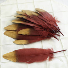 Real Goose Feathers Burgundy Metallic Gold Dipped 30 Pack