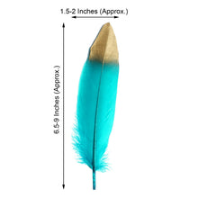 30 Pack Real Goose Feathers Turquoise Metallic Gold Dipped