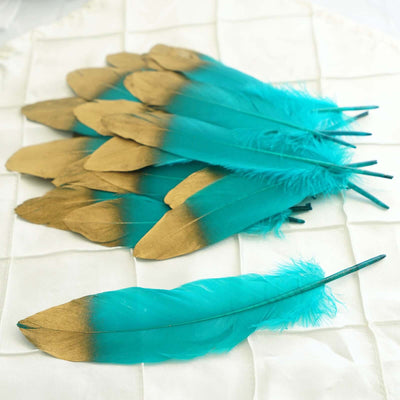 Turquoise and gold decorative feathers on a white background.