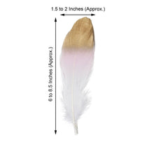 30 Pack Real Goose Feathers Blush & White Metallic Gold Dipped