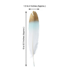 30 Pack Real Goose Feather Arrows Mint & White Dual Tone Metallic Gold Tip