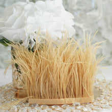 Gold 39 Inch Real Ostrich Feather Fringe Trim with Satin Ribbon Tape