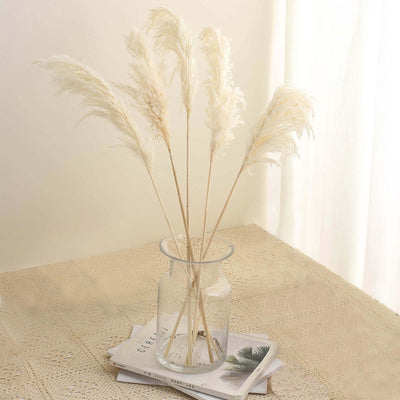 Dried pampas grass in a clear vase on a textured table.