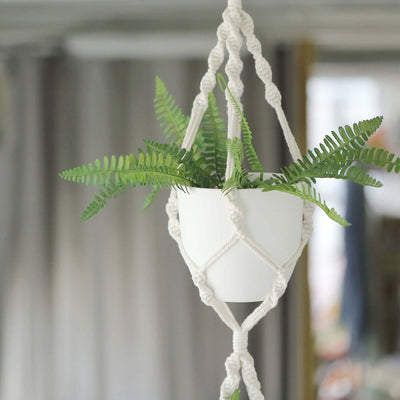 Hanging planter with ferns in a macramé holder
