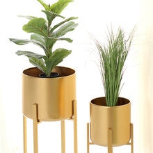 Gold Metal Stands For Indoor Plant Pots Set Of 2 25 Inch 27 Inch