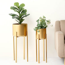 25 Inch 27 Inch Gold Metal Stands Set Of 2 For Indoor Plants