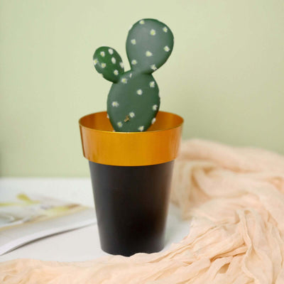 Cactus in a black and gold pot with a soft peach scarf