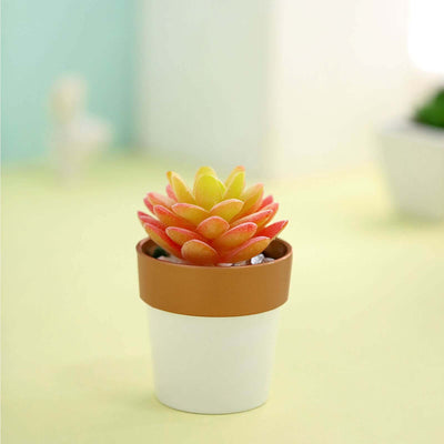 Colorful succulent in a decorative pot on a soft background.