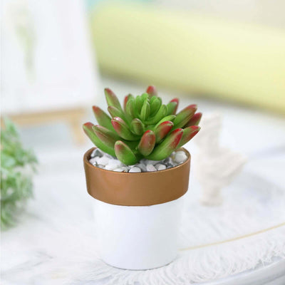 Succulent plant in a brown and white pot with decorative stones