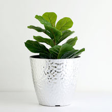 Decorative Large Greenery Pot In Silver 11 Inch