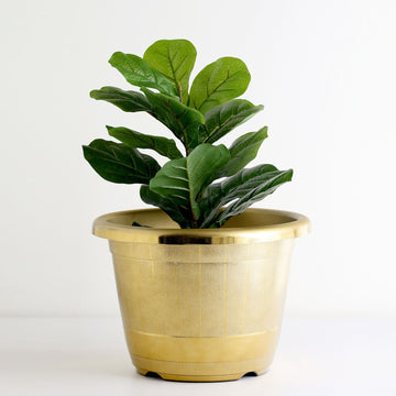 Elevate Your Decor with the Gold Shiny Finished Rim Large Barrel Planter Pot