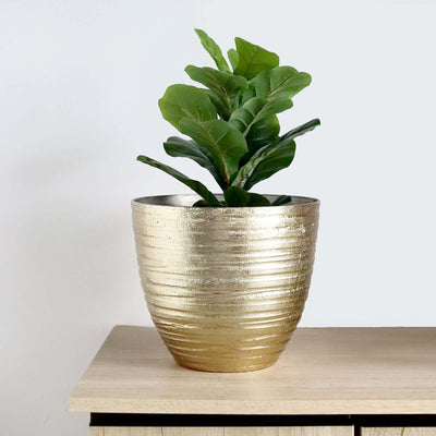 Gold ribbed planter with green leafy plant on a wooden table.