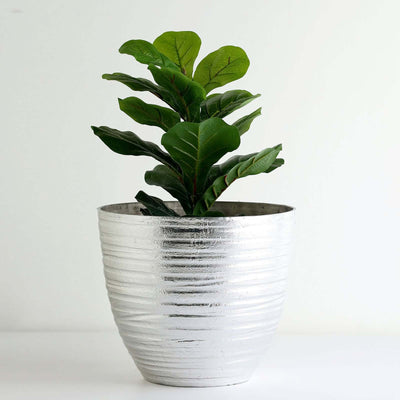 Silver textured planter with leafy green plant on a plain background.