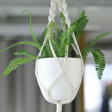 Two Pack White 5.5 Inch Plastic Indoor Planter Pots With Macrame 