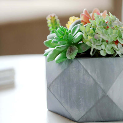 geometric succulent pot Concrete Geometric Planter 7" Mini Cement Design Gray Finish | Succulent Flower Pot