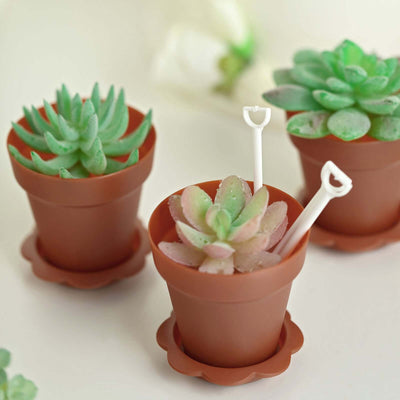 Colorful succulent plants in brown pots with mini shovel tools.