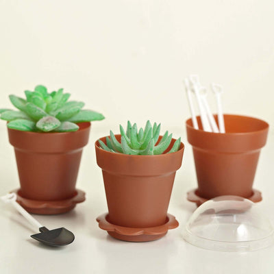 terracotta pots for succulents 12-Pack Plastic Dessert Cups 4" Succulent Planter Design Terracotta (Rust)