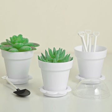 White Succulent Planter Pots for Delightful Desserts