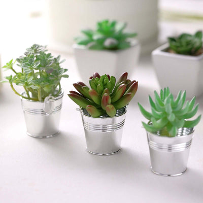 Miniature succulent plants in silver buckets on a white background.