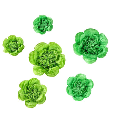 Green decorative flowers arranged artistically on a white background