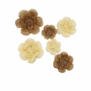 Create a Captivating Wall Decor with Natural Cream Paper Flowers