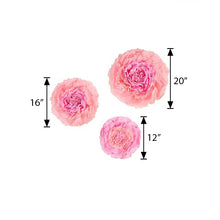 A set of three pink paper Carnation flowers with measurements on them