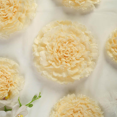 Cream peonies arranged artistically on a soft white background.
