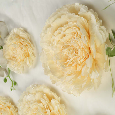 Cream peony flowers on a light background for floral decor.