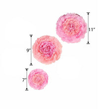 A set of three pink paper flowers with measurements on them