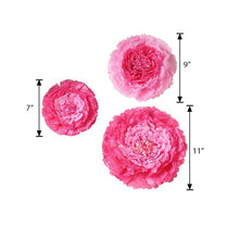 Three Pink Paper Carnation Flowers with Measurements on a White Background