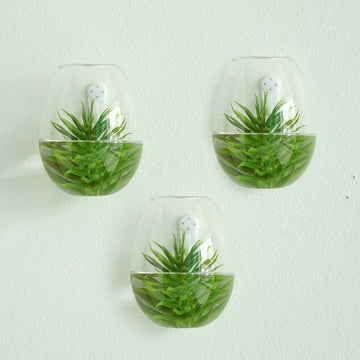 3 Pack Egg Shaped Glass Wall Vase - Indoor Wall Mounted Planters - Hanging Terrariums