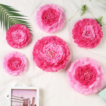 Pack of 6 | Pink/Fuchsia | Multi-size Carnation 3D Giant Paper Flowers | Paper Flower Backdrops Wedding Wall | 7”/9”/11”