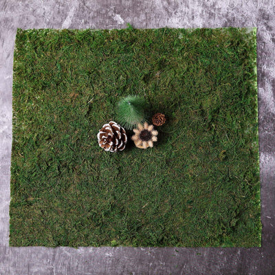 Decorative moss mat with pinecones and decorative elements.