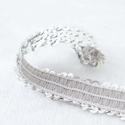 Silver sequin trim ribbon on a light background.