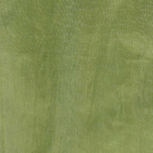 A close up of a green organza fabric texture