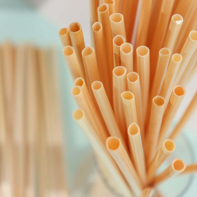 Bamboo drinking straws in a glass jar, showcasing their natural color and texture.