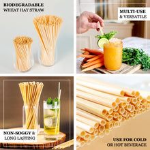 100 Pack 6 Inch Disposable Plant Based Straws Wheat