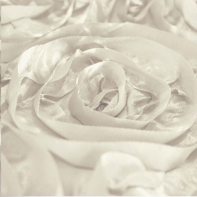 Close-up of elegant satin rose petals in soft beige tones.